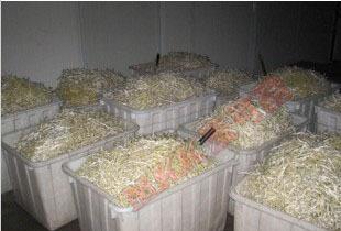 91视频APP向日葵视频