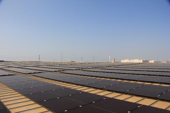 91视频APP向日葵视频