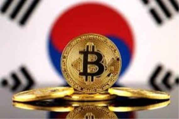 91视频APP向日葵视频