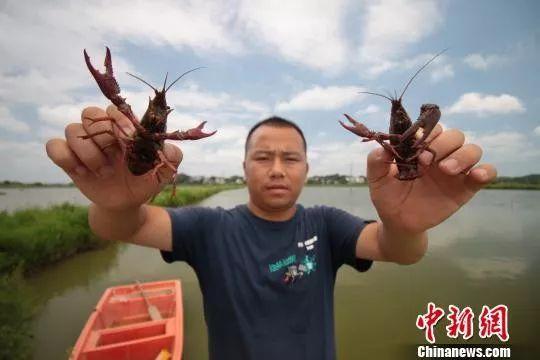 91视频APP向日葵视频